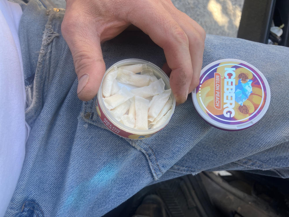 Iceberg - Melon Peach (40mg) - Customer Photo From Briggs Bachman