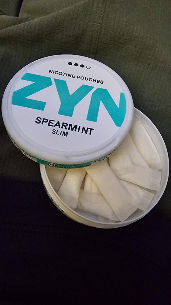 ZYN - Spearmint (9mg) - Customer Photo From Jason Schwartz