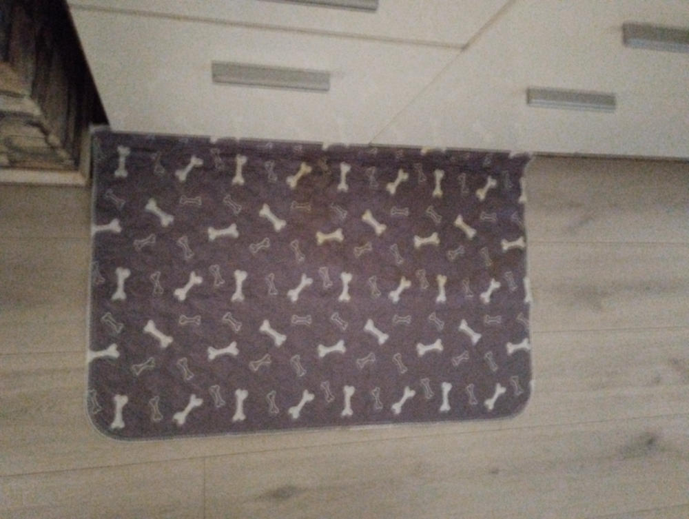 Mosható Kutyapelenka - 80x90 cm - Szürke - Customer Photo From Anonymous
