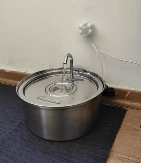 Aquamun Haustiertränke - Animiert zum Trinken und fördert die Gesundheit - Customer Photo From Paula