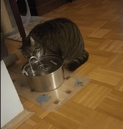 Duvogo Aquamun Haustiertränke - Animiert zum Trinken und fördert die Gesundheit - Customer Photo From Nico