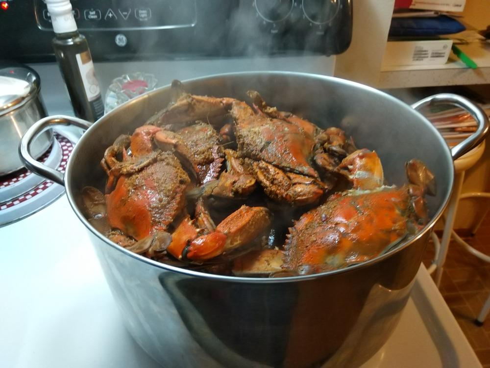 30 Maryland Blue Crabs Bundle | Premium Crab Dinner Kit - Harbour