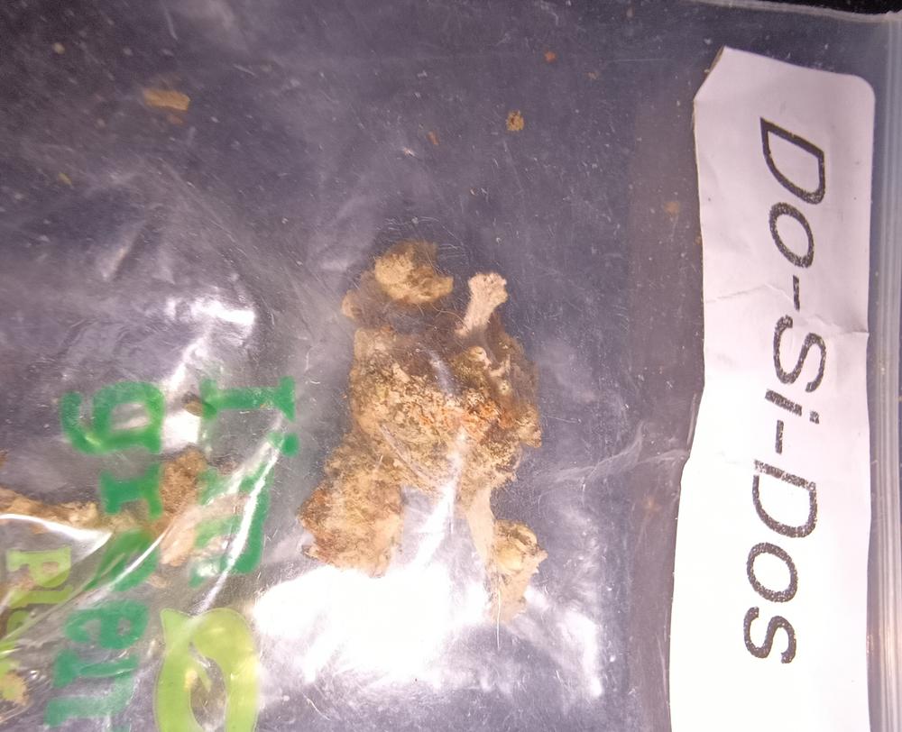 Do-Si-Dos - Indica - Customer Photo From Donfumo