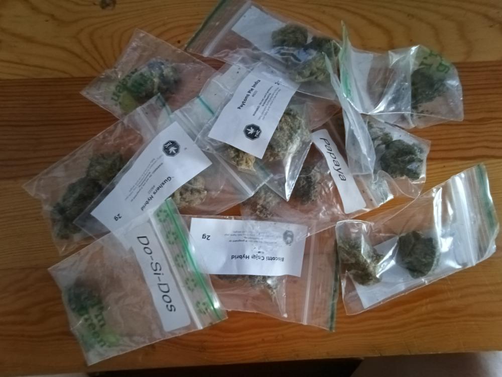 Frumpz - Hybrid - Customer Photo From Good stuff maynard