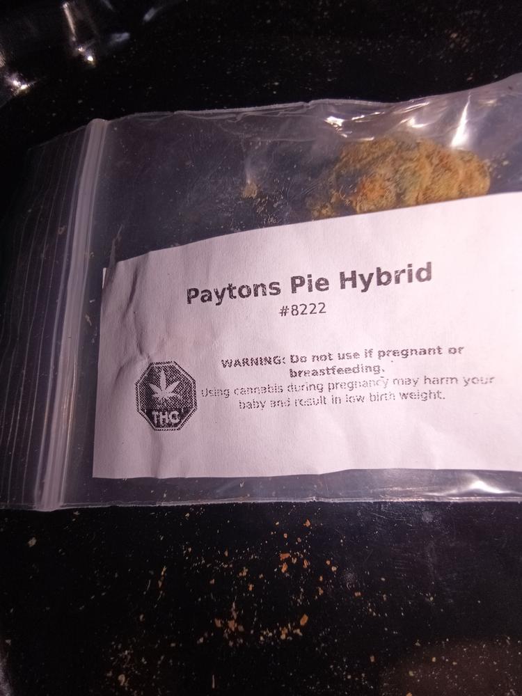 Gushers - Hybrid - Customer Photo From Vambo 247