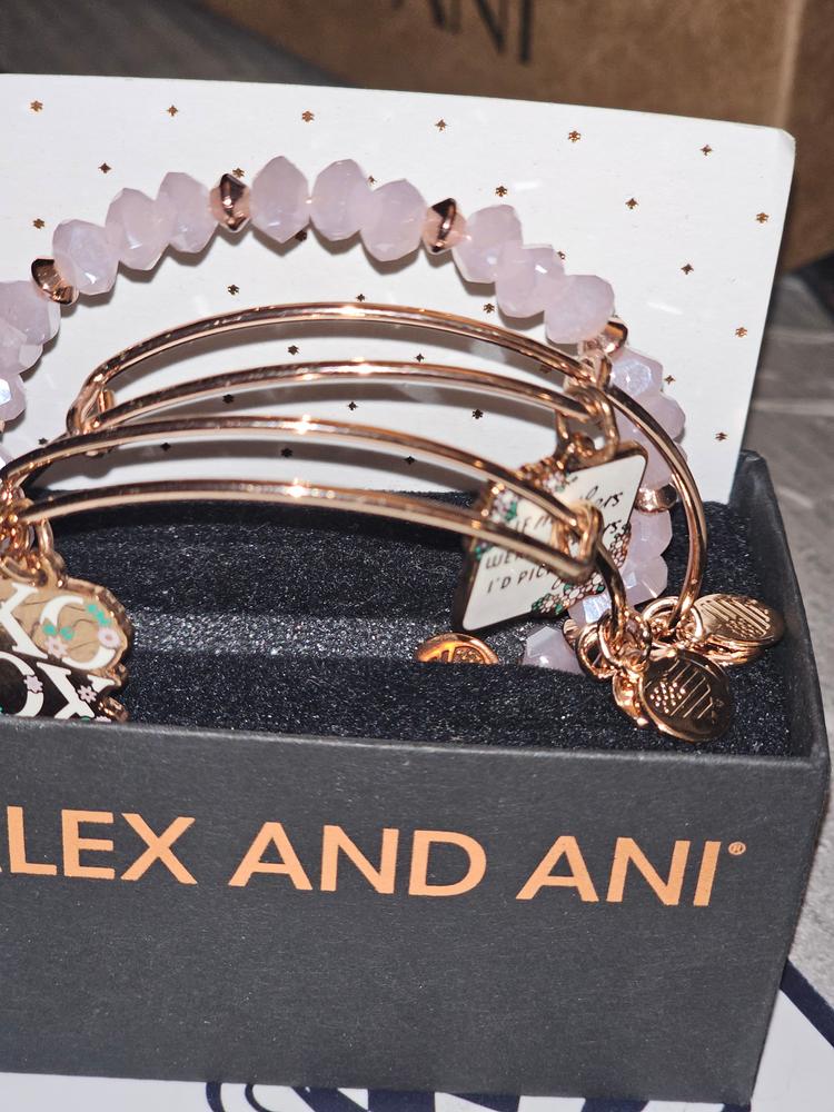 アレックスアンドアニ Say Yes to New Adventures Bangle Set of 5 – ALEX AND ANI