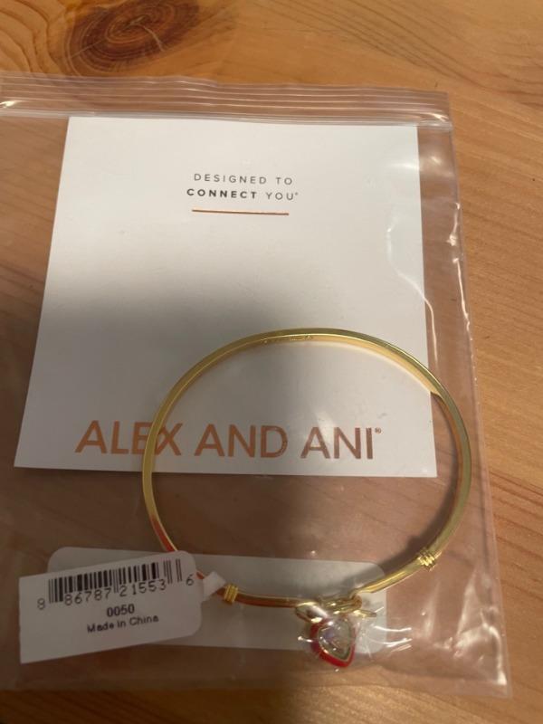 Crystal Heart Clip Bangle - Customer Photo From Susan Bellavance