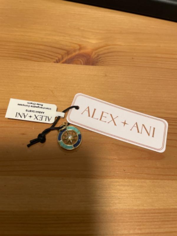 Compass Interchangeable Charm - Customer Photo From Susan Bellavance