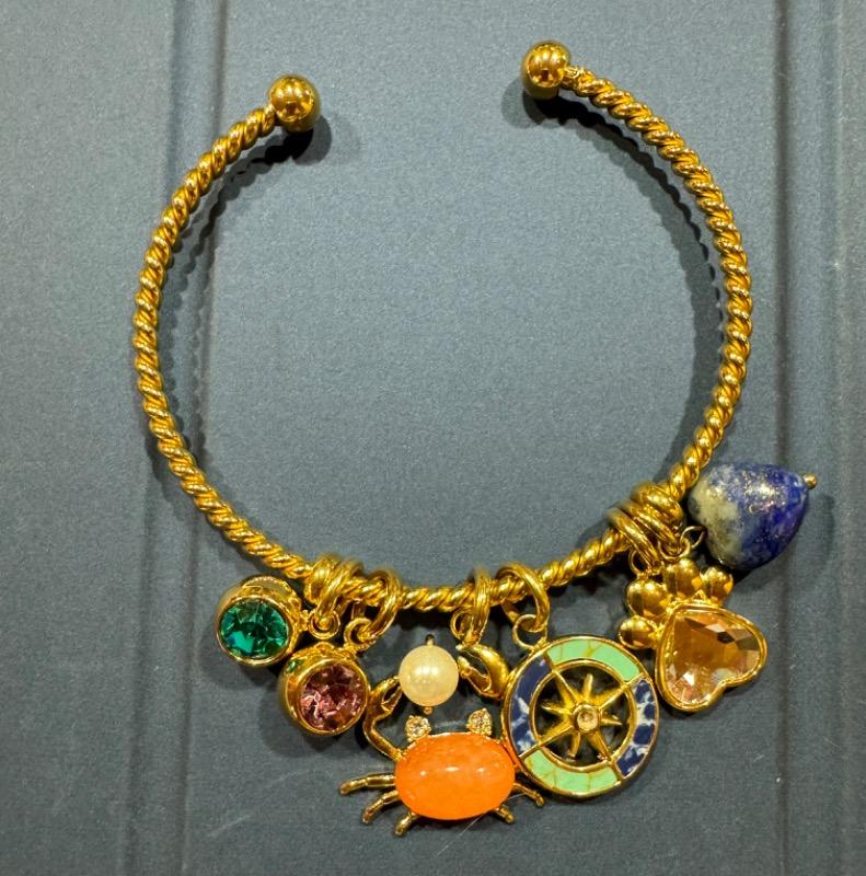 Compass Interchangeable Charm - Customer Photo From Lisa Wallace