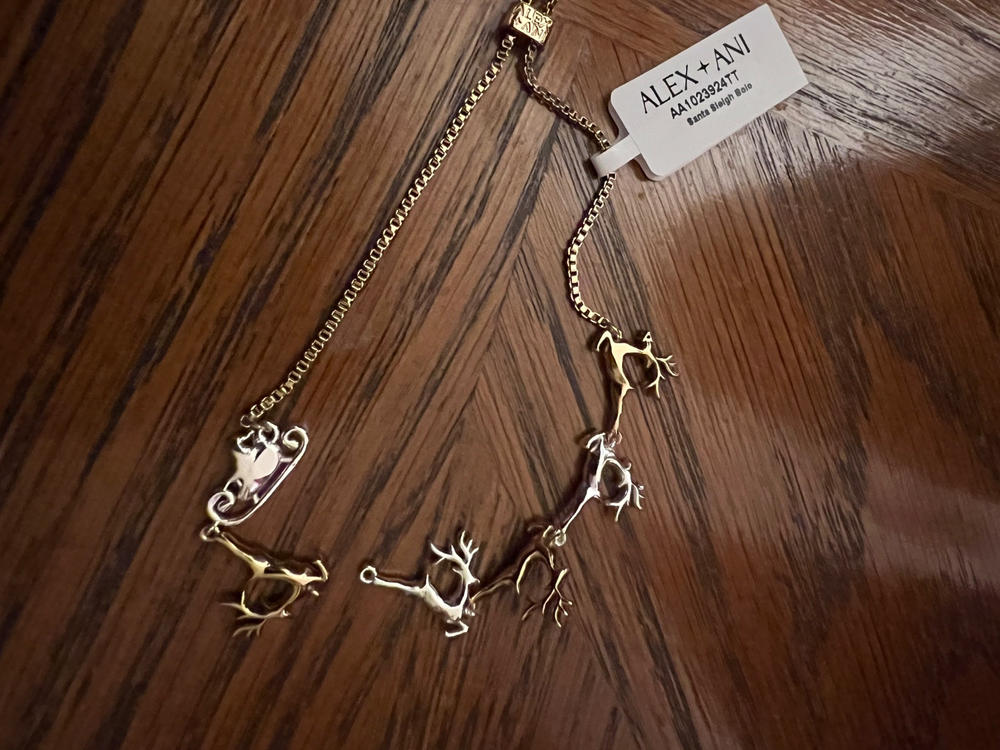 Holiday Santa Sleigh Bolo Bracelet | Alex and Ani – ALEX AND ANI