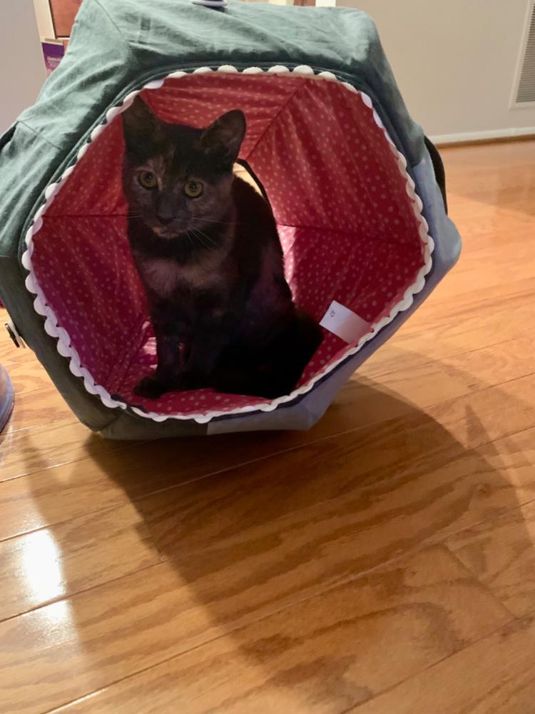 Great White Shark Cat Ball Cat Bed - Customer Photo From Anonymous