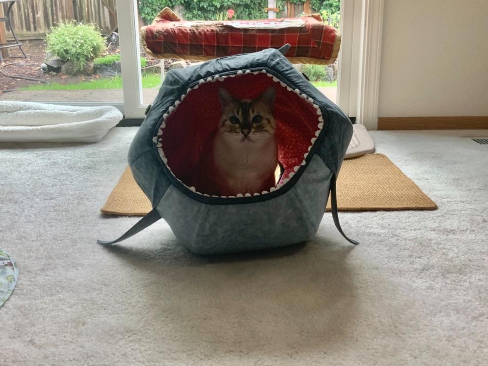 Great White Shark Cat Ball Cat Bed - Customer Photo From Getmana
