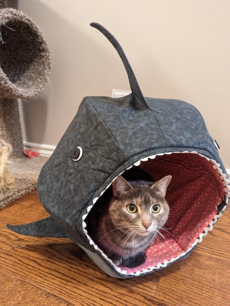 Great White Shark Cat Ball Cat Bed - Customer Photo From Tessa Hall