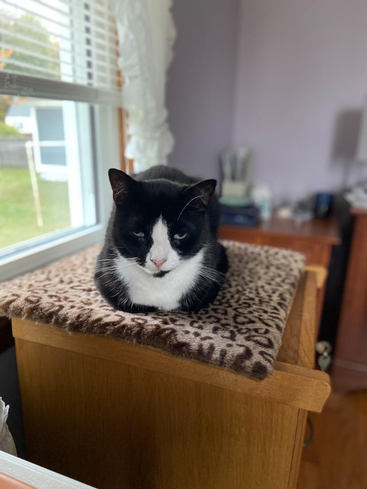 Cat Sleeping Mat in Luxury Faux Fur - Customer Photo From Judith Rice