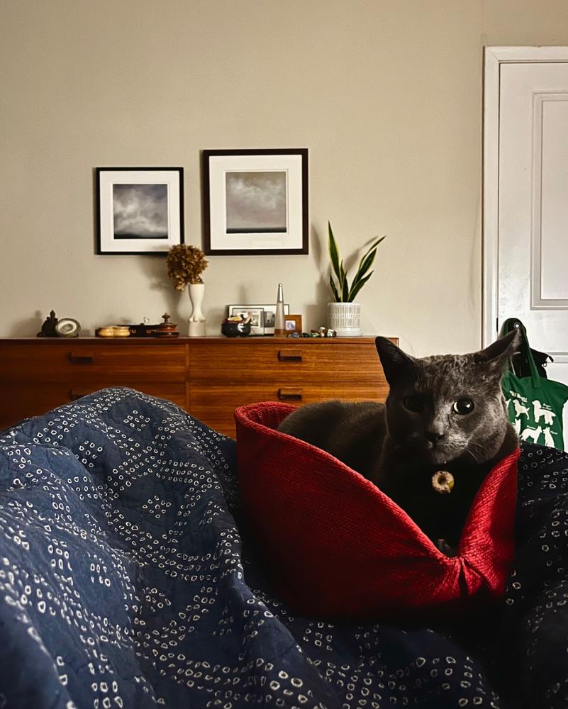 Cat Canoe - Red Burlap Weave - Customer Photo From Marc Sapir