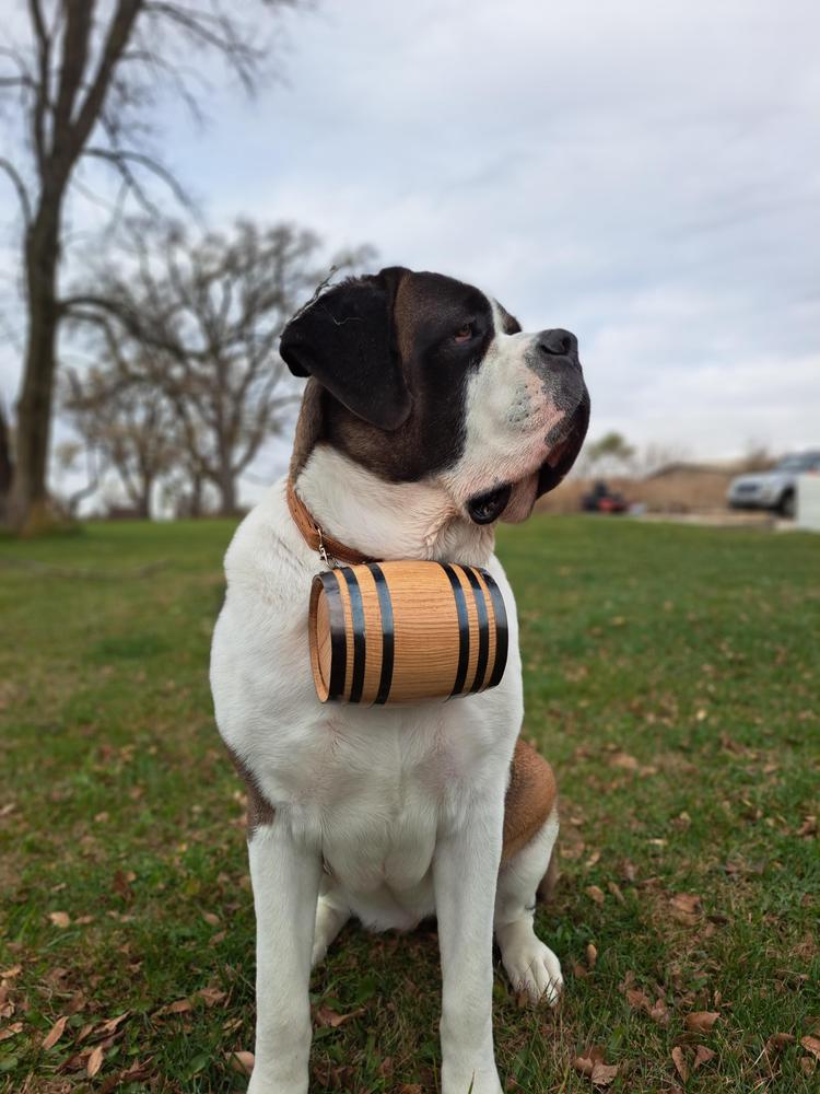 Saint Bernard Dog Collar Wood Barrel - Customer Photo From Kate Quigley