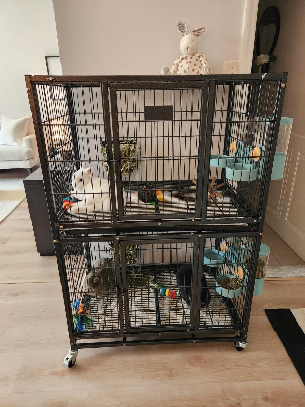 31" Two-Tier Dog Crate 46A - Customer Photo From Anyi