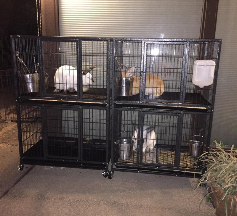 31" Two-Tier Dog Crate 46A - Customer Photo From troy