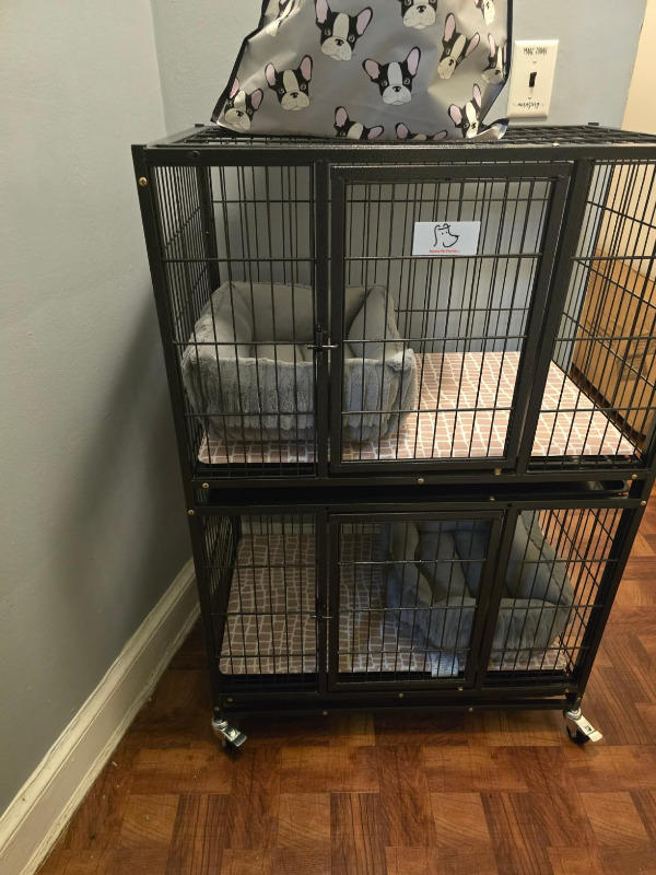 31" Two-Tier Dog Crate 46A - Customer Photo From Stephon Stevens