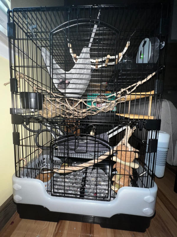 25" Three-Tier Small Animal Cage W25P - Customer Photo From ozz46