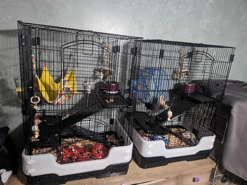 25" Three-Tier Small Animal Cage W25P - Customer Photo From Francis