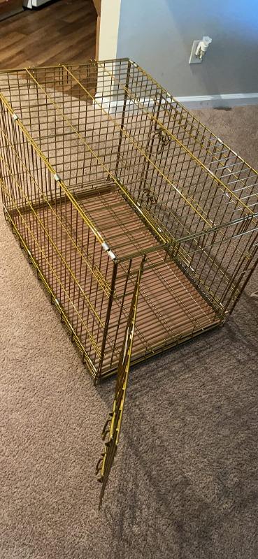 42" Gold Foldable Dog Crate GLD42 - Customer Photo From Amazon Customer