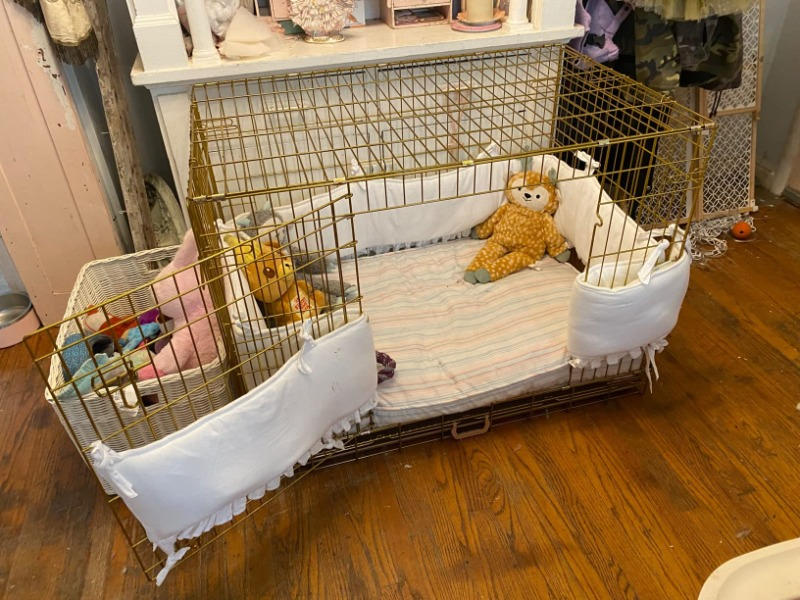 42" Gold Foldable Dog Crate GLD42 - Customer Photo From Ana Pomales