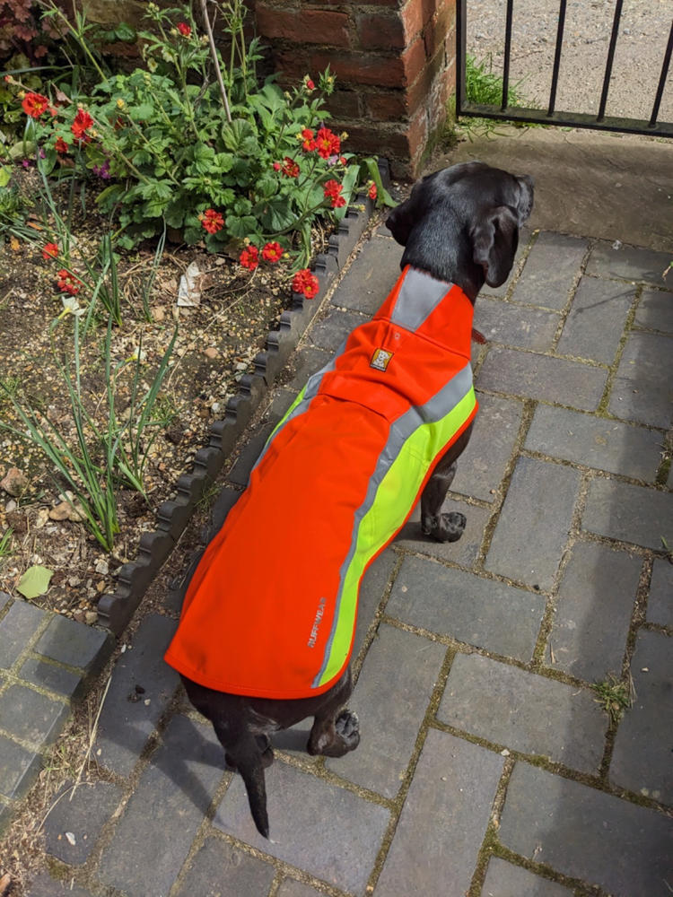 Ruffwear Lumenglow High Vis Dog Jacket K9 Active