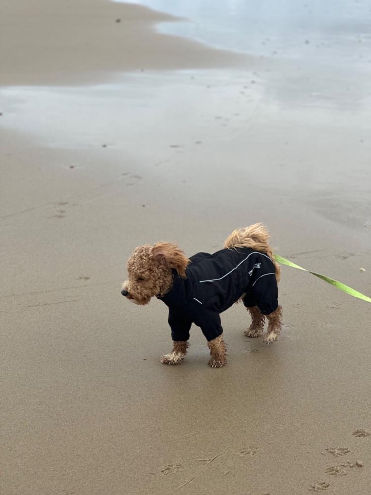 Rukka Thermal Overall - Customer Photo From Paul Phillips 