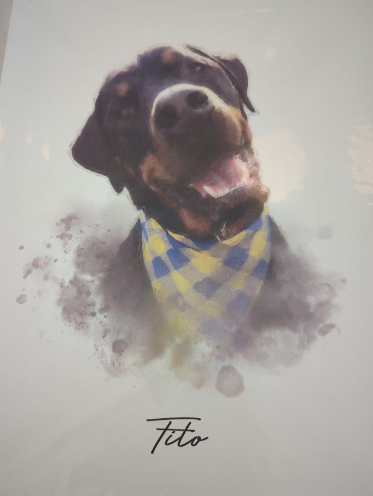 Personalized Pet Portrait Canvas 11 x 14 - Customer Photo From 