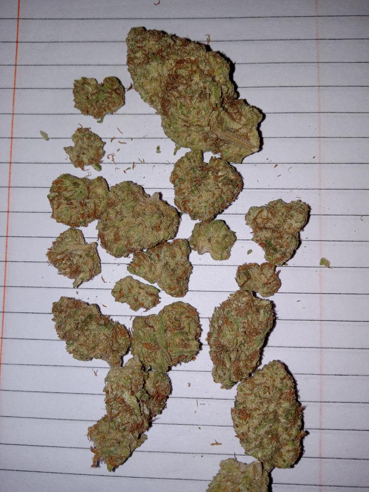 Cherry Pie - Customer Photo From Karen Steck