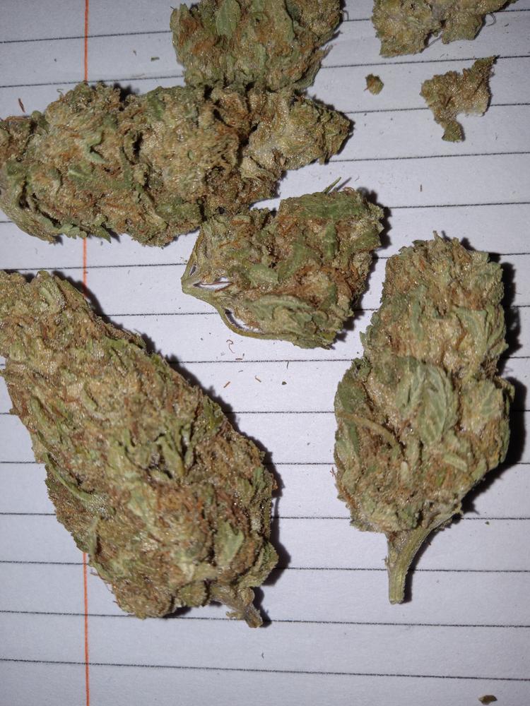 Violet Fog - Customer Photo From Karen Steck