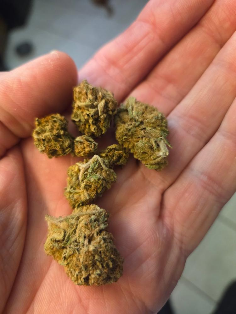 Purple Punch - Customer Photo From Big John