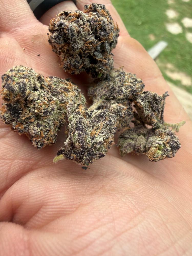 Exotic Blue Nerdz - Customer Photo From Matthew Turner