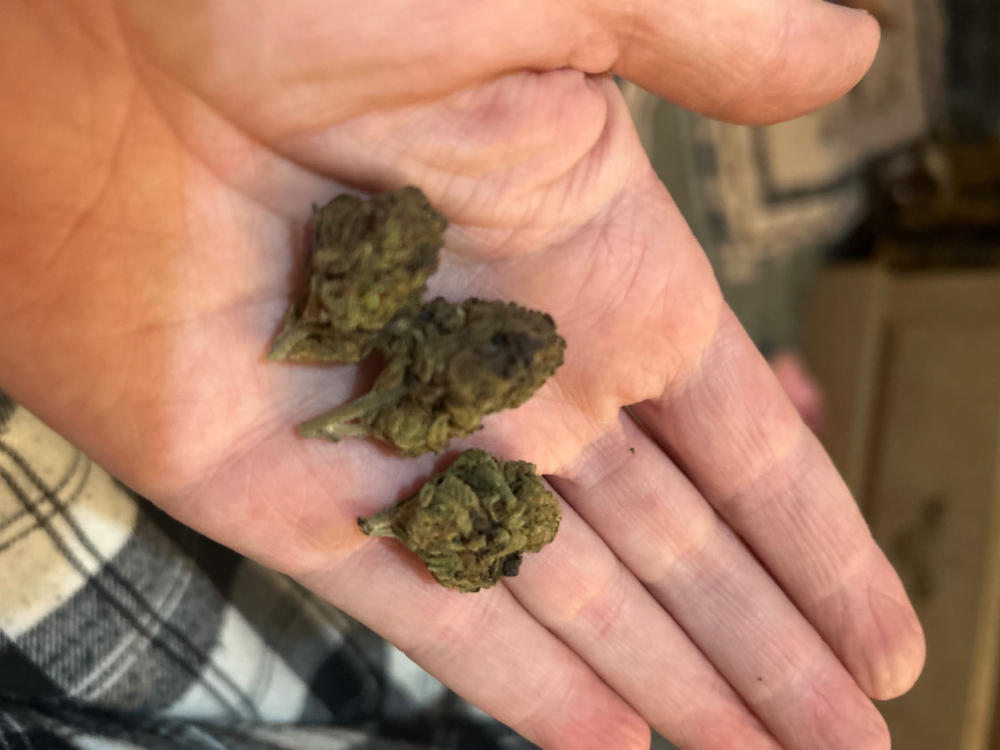 Gumbo Smalls - 28 grams - Customer Photo From Leslie Ingram