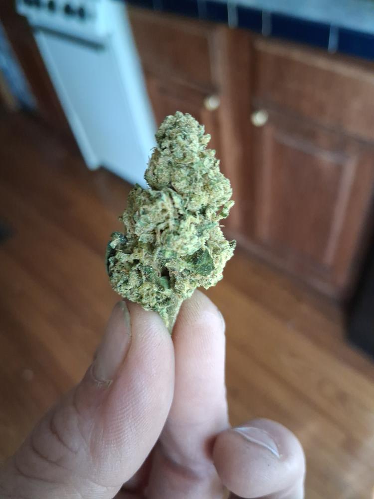 Headband - Customer Photo From Matt oneal