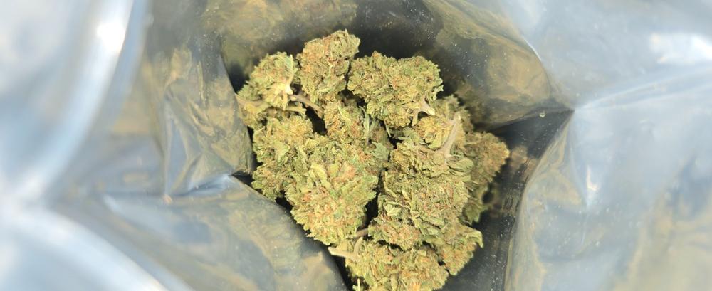 Lemon Skunk - 28 grams - Customer Photo From Geno Hinkle