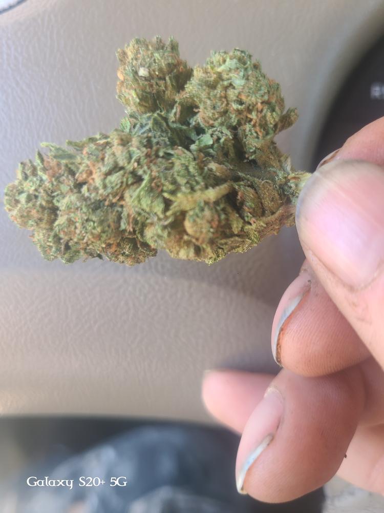 Lemon Skunk - Customer Photo From Johnny