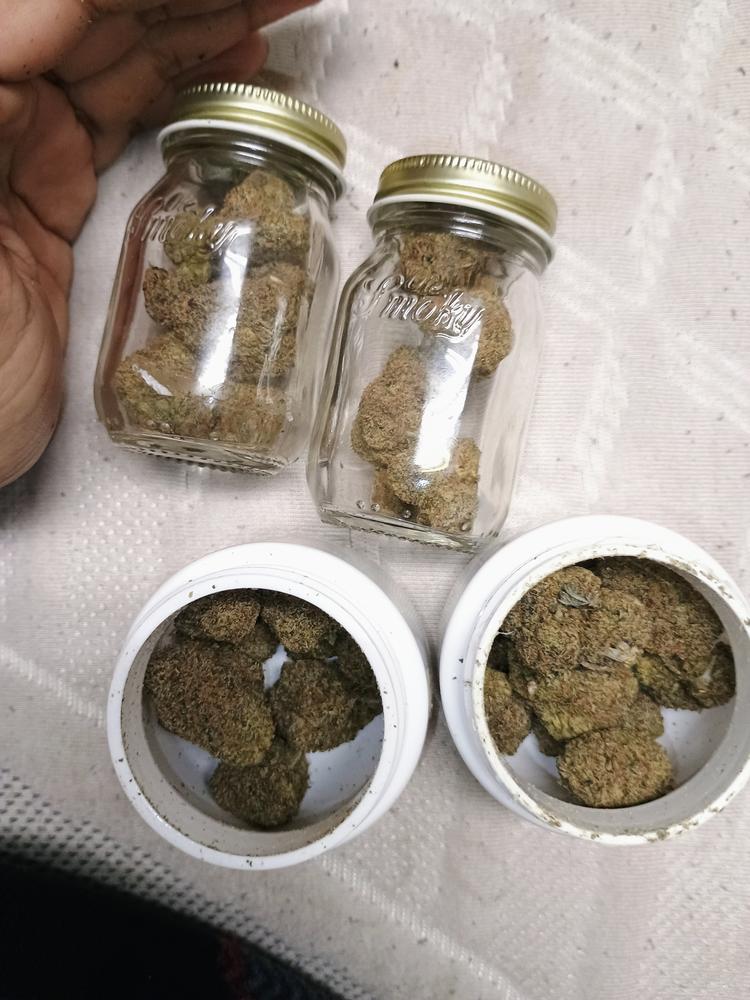 Maui Wowie - Customer Photo From Oscar Leal