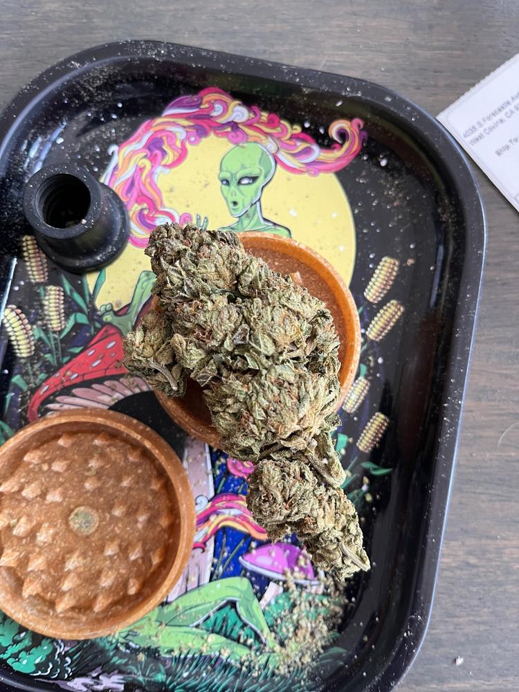 Gelato Mintz - Customer Photo From Shawn Jones