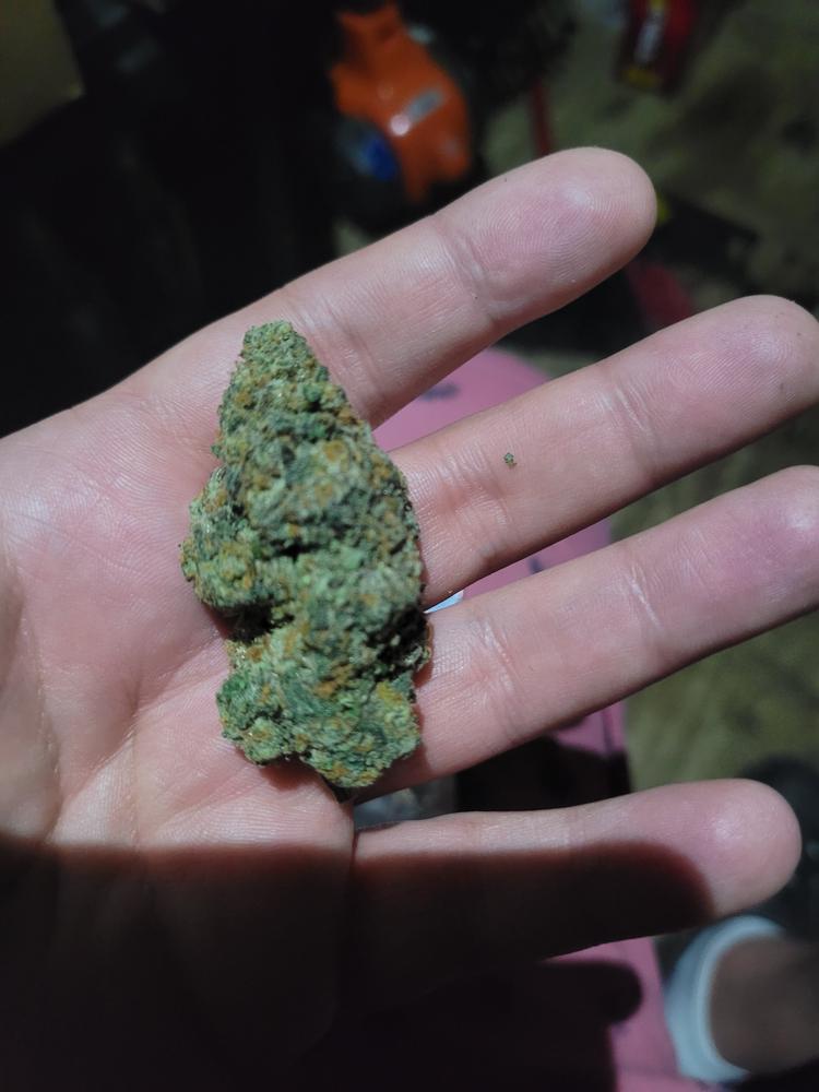 Bacio Gelato - Customer Photo From Brandon