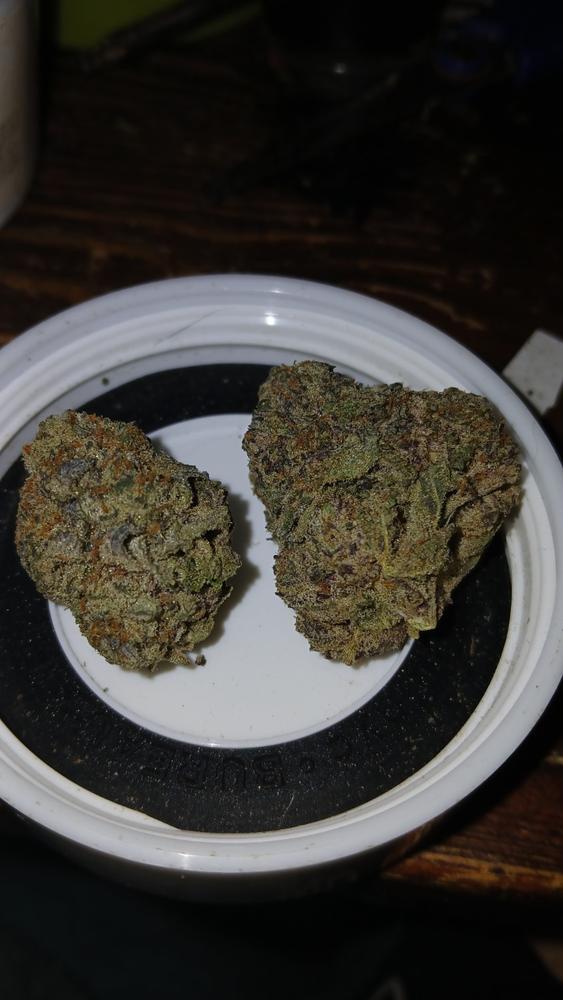Ice Cream Gelato - 14 grams - Customer Photo From Jack Rein