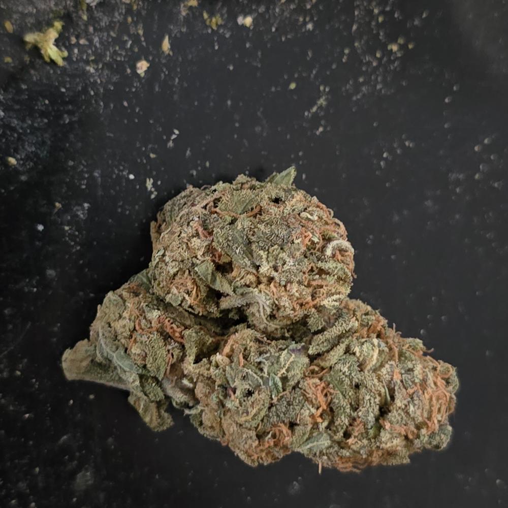 White Widow - Customer Photo From Gary Creasey