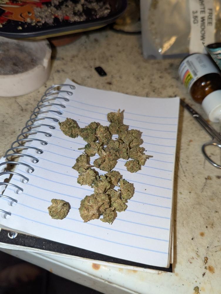 E85 Smalls - 28 grams - Customer Photo From Robert Schaefer