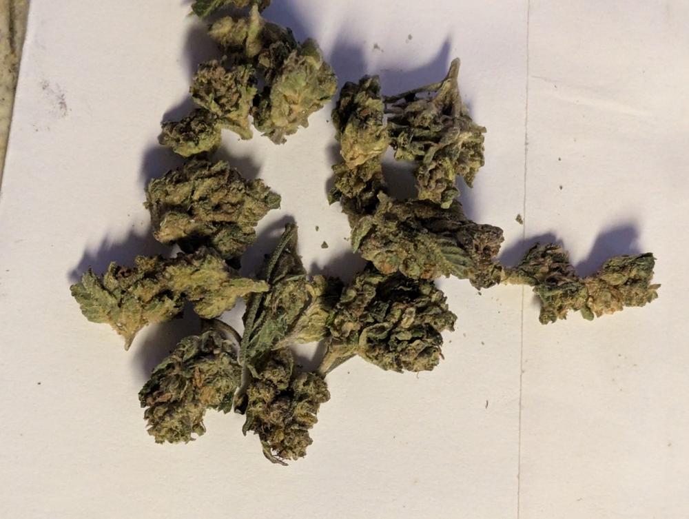 Gelato Cake Smalls - 28 grams - Customer Photo From Robert Schaefer