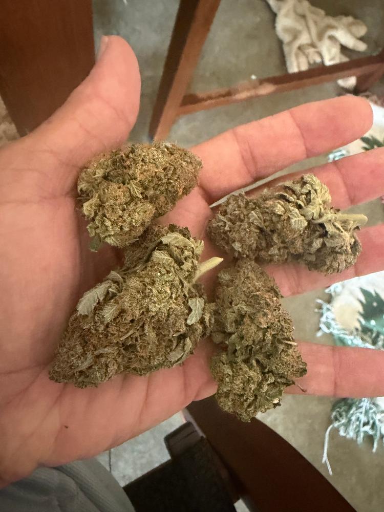 Platinum Kush - Customer Photo From Michael L