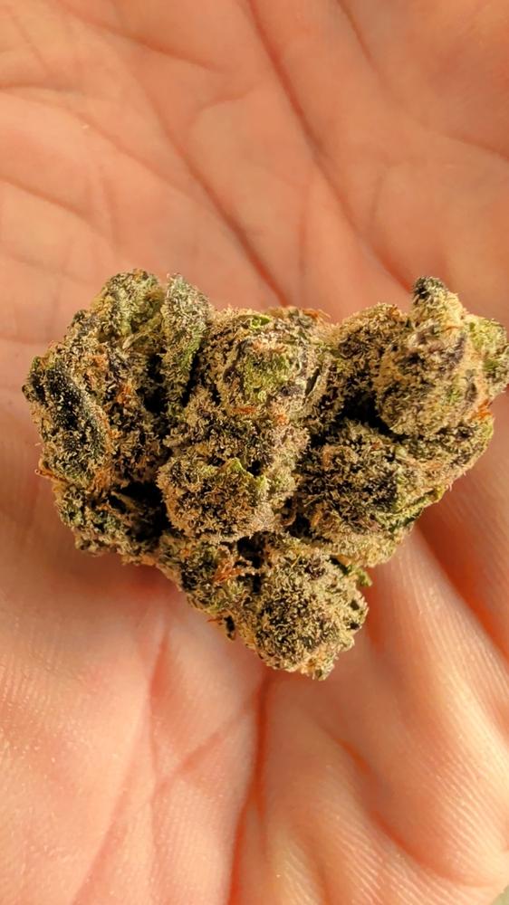 Galactic Warhead - 28 grams - Customer Photo From Joseph Schmit