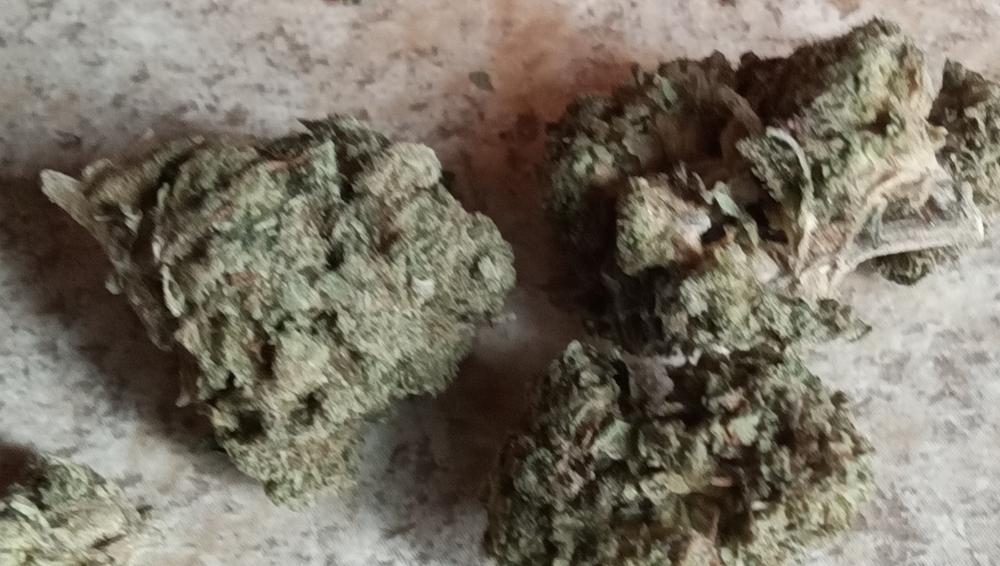 Candy Gas - Customer Photo From Patricia sanchez 