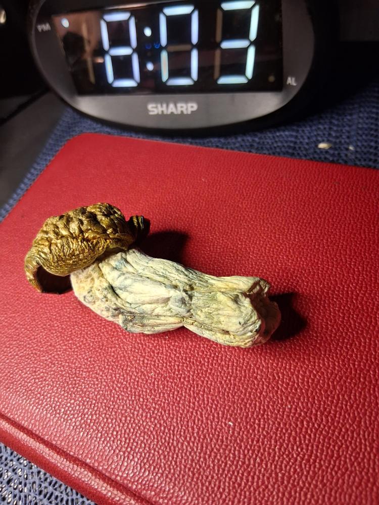 Manna - 14 grams - Customer Photo From Adrianne Amaya