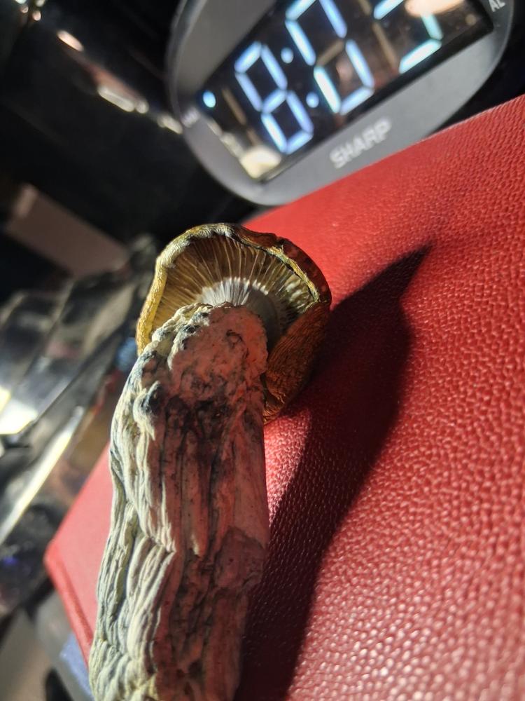 Manna - 14 grams - Customer Photo From Adrianne Amaya